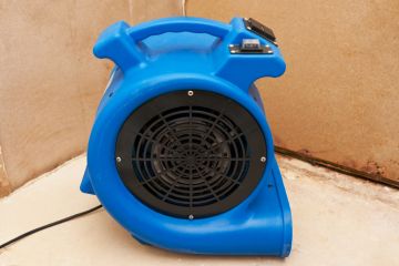 Emergency Water Removal in Village of Palm Springs, Florida by Family First Mold and Water