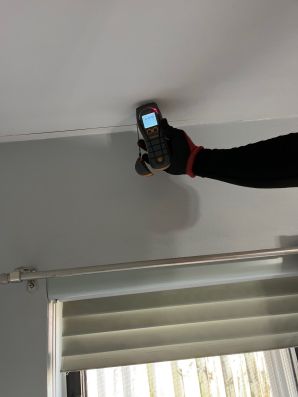 Leak Detection & Mold Testing in Pembroke Pines, FL (3)